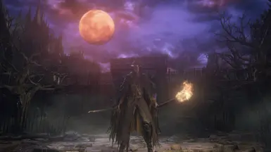 Bloodborne PC Remaster Project