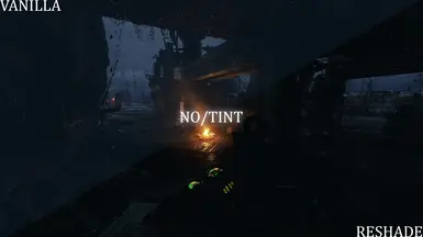 NoTint (Enhanced Edition)