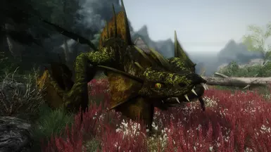 Dragon 