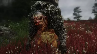 Gnardalf