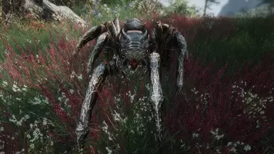 Tunnel Spiders