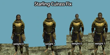 weight scaling was not possible before
