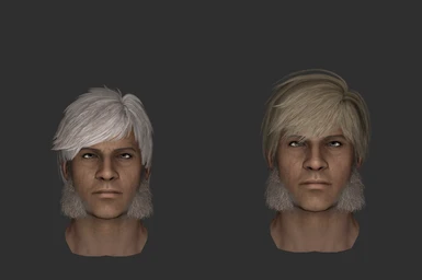 _00E_Male_Hairstyle_06 (vanilla | modded)