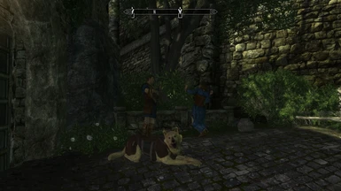 Pets of Enderal