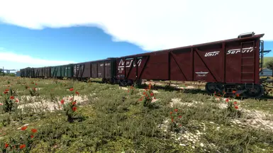 Nacionales de Mexico - Boxcars