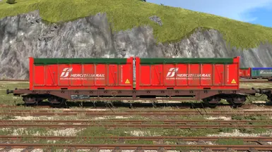 MercitaliaRail swap body containers