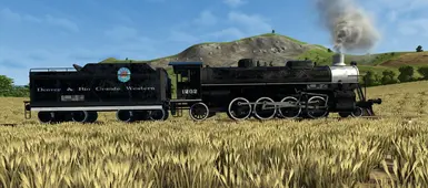 Rio Grande Steam Skin