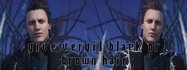 Give Vergil Black or Brown Hair