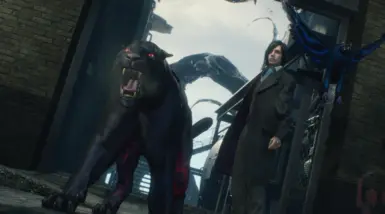 Morrison's Coat