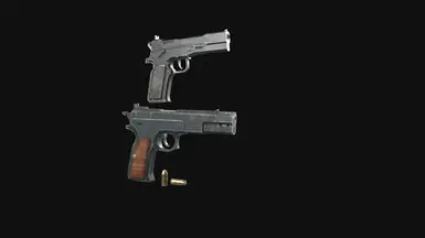 Lady's Handguns (Brenten and CZ75)