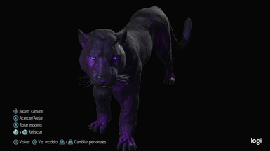 Shadow Black Panther (Sorry DC xD)
