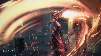 in DMC 5