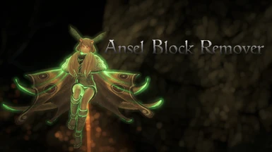 Ansel block remover