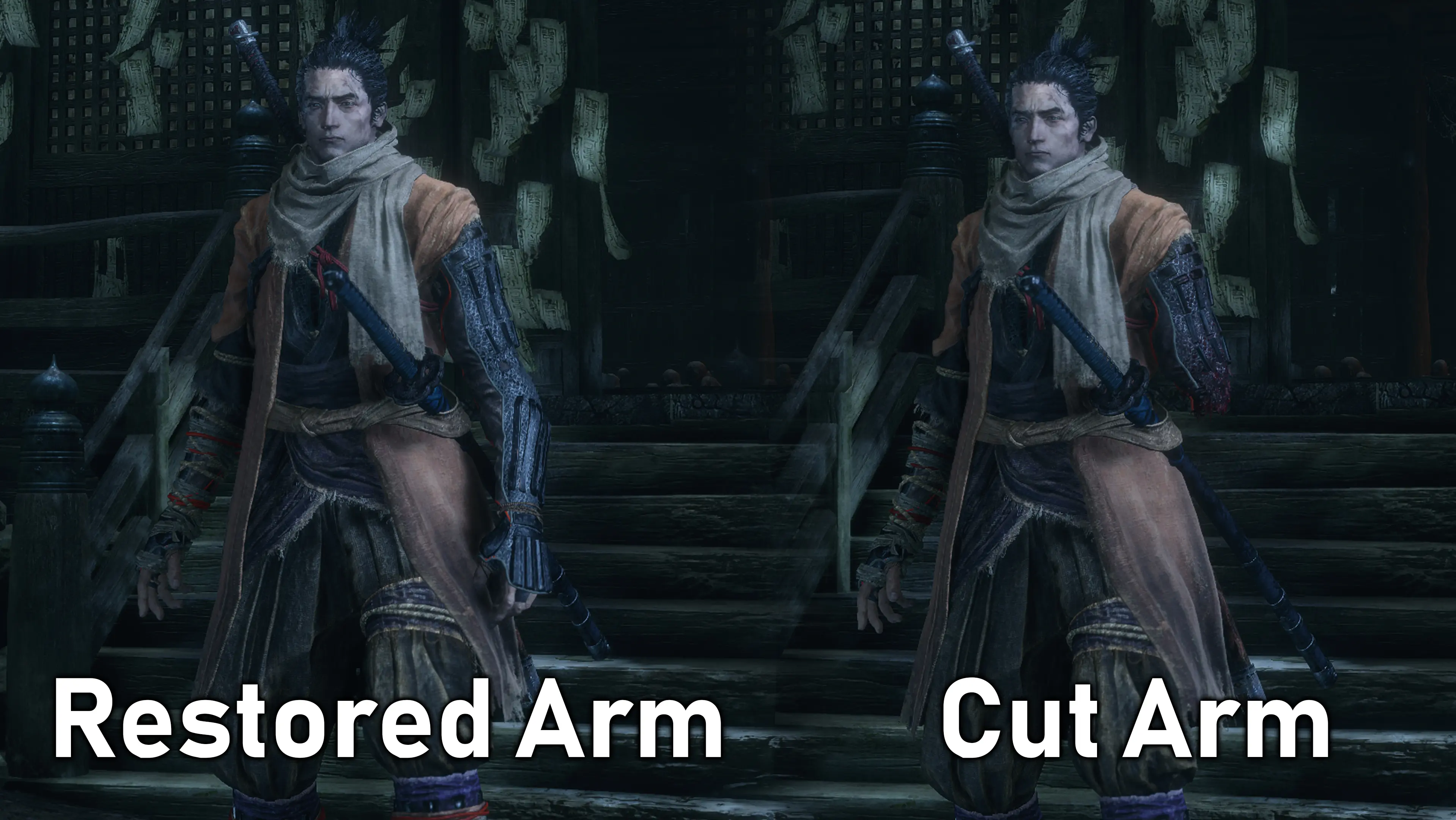 Restored Arm And Cut Arm Mod At Sekiro Shadows Die Twice Nexus Mods   135 1554846705 388621735 