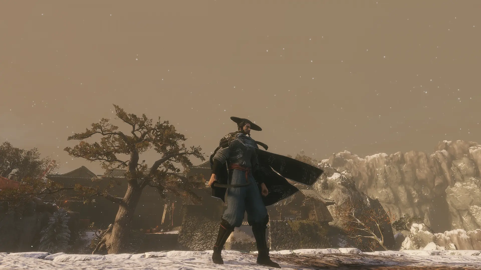 Ronin Sekiro 20 Physics Mantle At Sekiro Shadows Die Twice Nexus