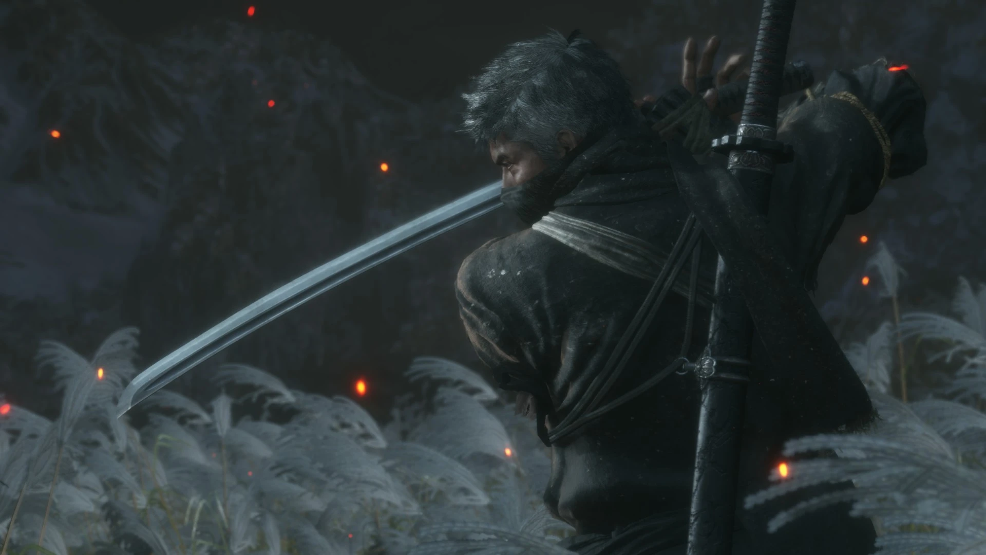 Sekiro Shadows Die Twice Goty Trailer Free Update For All Current Owners Update New Screens Info And Boss Changes News Resetera