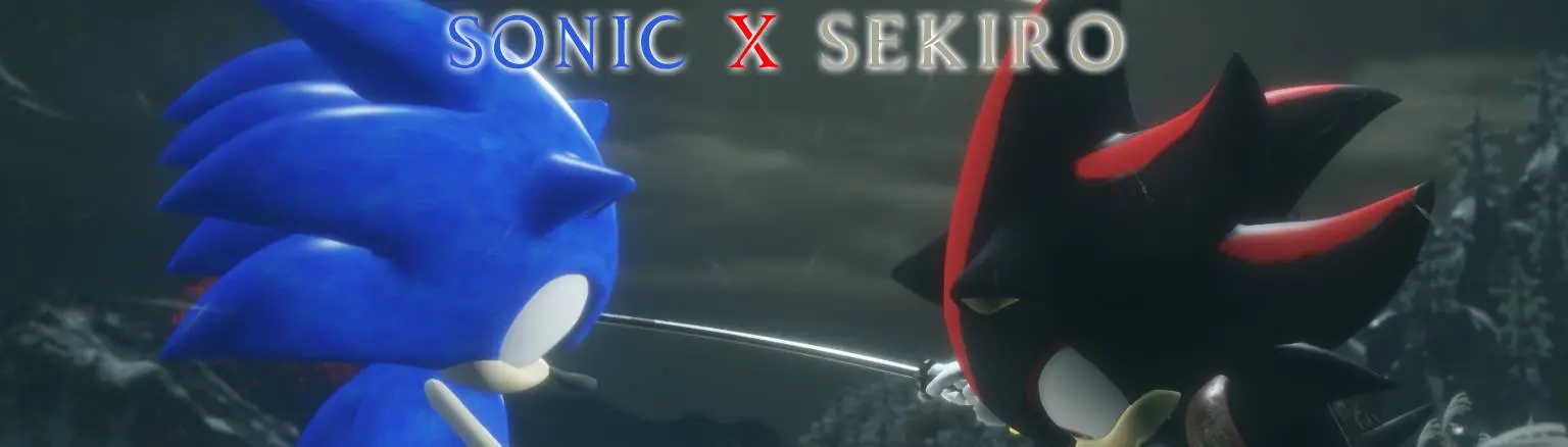 SONIC (Sonic X) VS SHADOW (Sonic X)