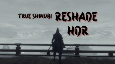 Sekiro True Shinobi HDR