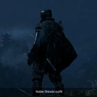 Noble shinobi