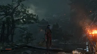 Novice Ninja outfit + Stealth Assasin Black headgear