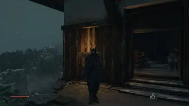 Grandmaster ninja armor + Stealth Assassin black head