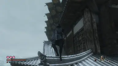 Noble shinobi + Black Ninja facemask