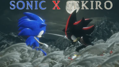 Sonic Generations - Dark Sonic X Mod 