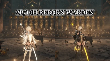 2B 10H Reborn Warden