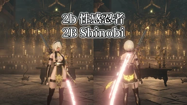 2B Shinobi