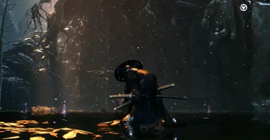 One Mind - Blades of the guardians at Sekiro: Shadows Die Twice Nexus -  Mods and community