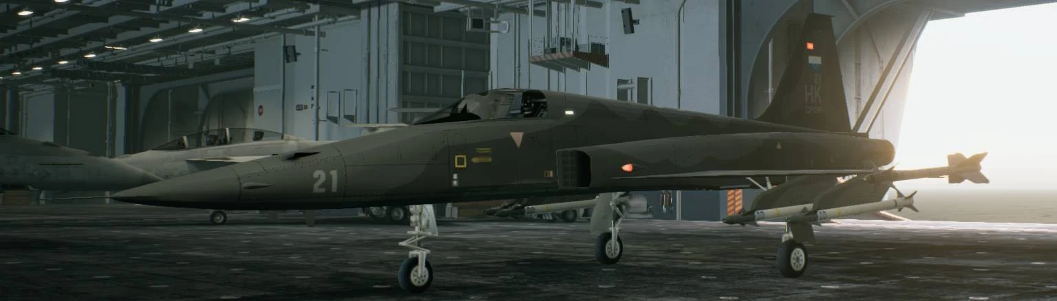 The perfect fighter jet doesn't exi- (Ace Combat 7 mod by TismAero, link  in comments). : r/HalfLife