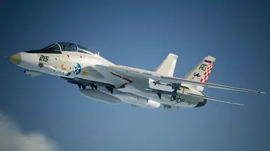 My F-14 inspired by a Ace Combat 7 mod Scrapcat. : r/modelmakers