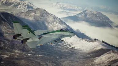 F-14D Lancer Squadron