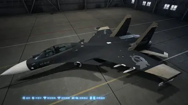 SU-30SM SARF Elite Nemo