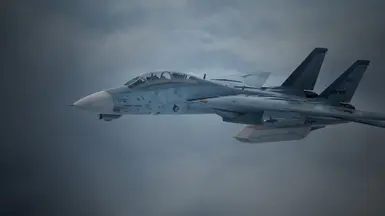 F-14D Rena