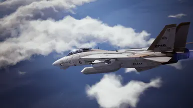 F-14D Nemo