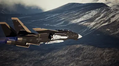 F-14D SARF