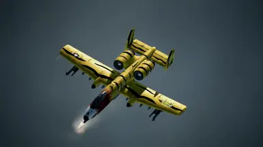Tigr Rat