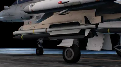 Typhoon MSL changed to IRIS-T Missile at Ace Combat 7: Skies Unknown ...