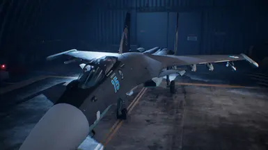 Classic Ace Combat's Su-37 VisMod featuring L-005 Sorbtsiya ECM pods