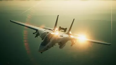 F-14A VF-202 Superheats CAG 1994