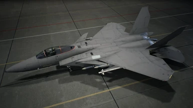 F-15J Kai with Simple Gray