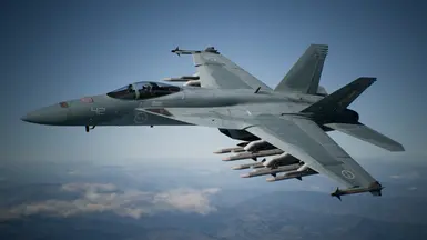 FA-18E -Blue Arrow-