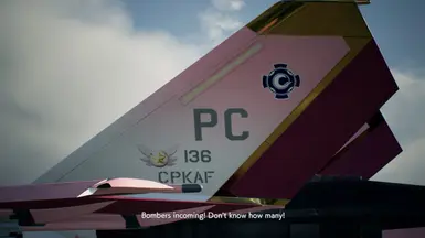 Tail marking decals of Prisma 1