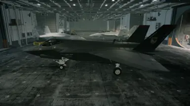 The F-35C -RAZGRIZ- with the -Stealth- Modification Kit.