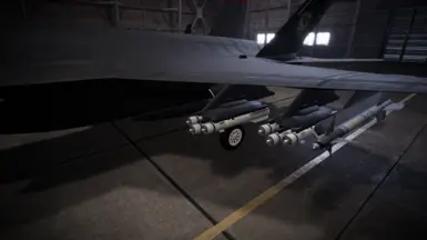 The F-35C with black external pylons.