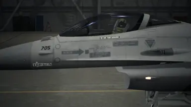 F-16C -Arrows- UPDATED