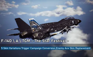 F-14D - A - TGM - The Star Festival -