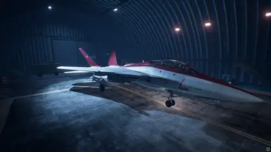 F-14A TGM LAAM to 6AAM with 8AAM's stats