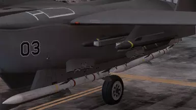 F-15E with 4MSL (Stealth QAAM)